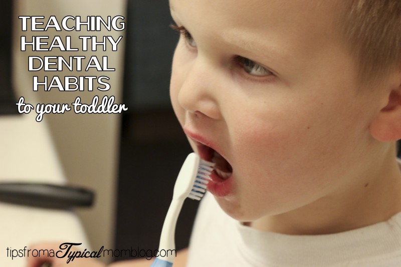 Teaching healthy dental habits to your toddler