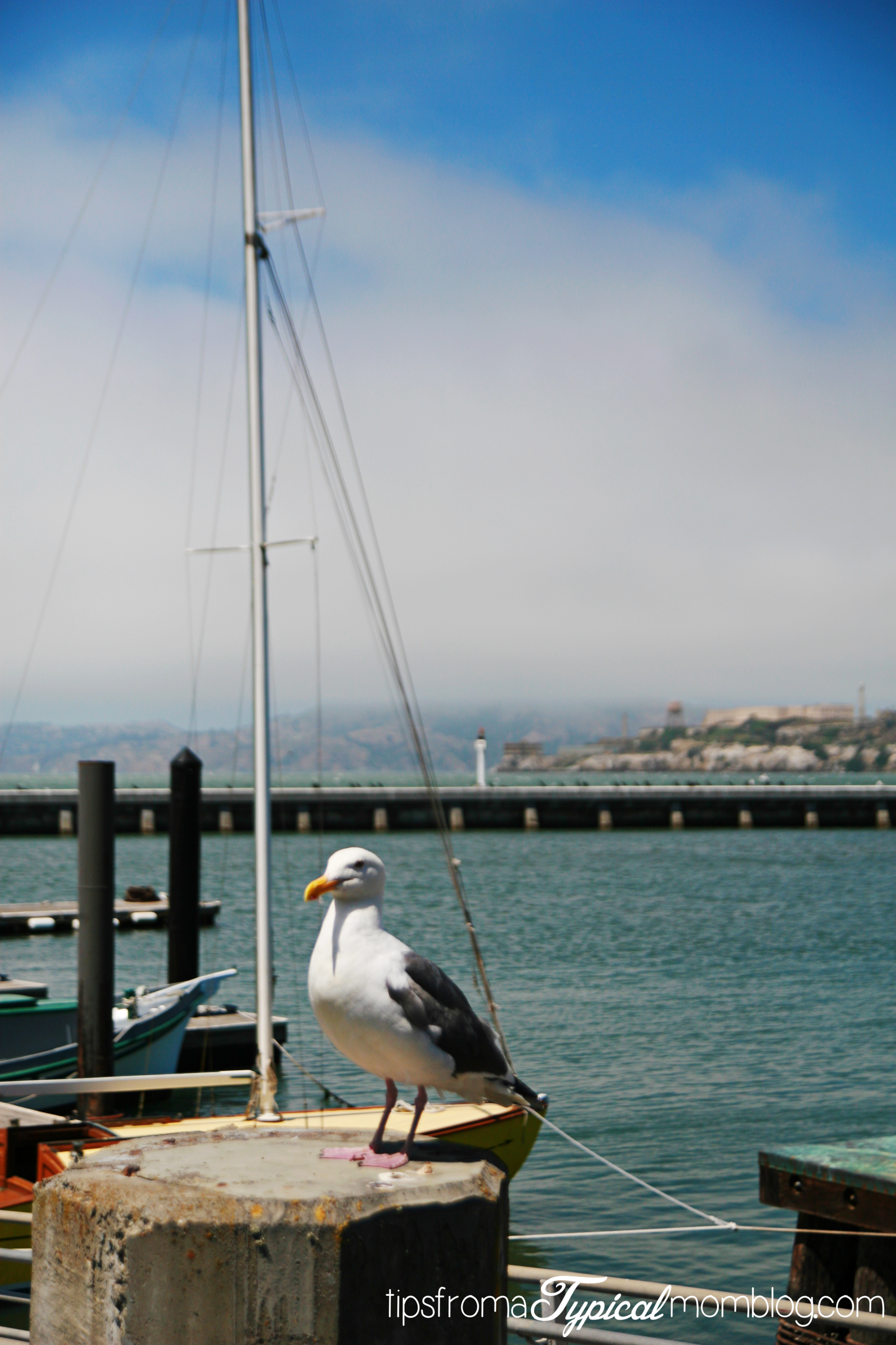 Visit San Francisco And Save - Tips From A Typical Mom