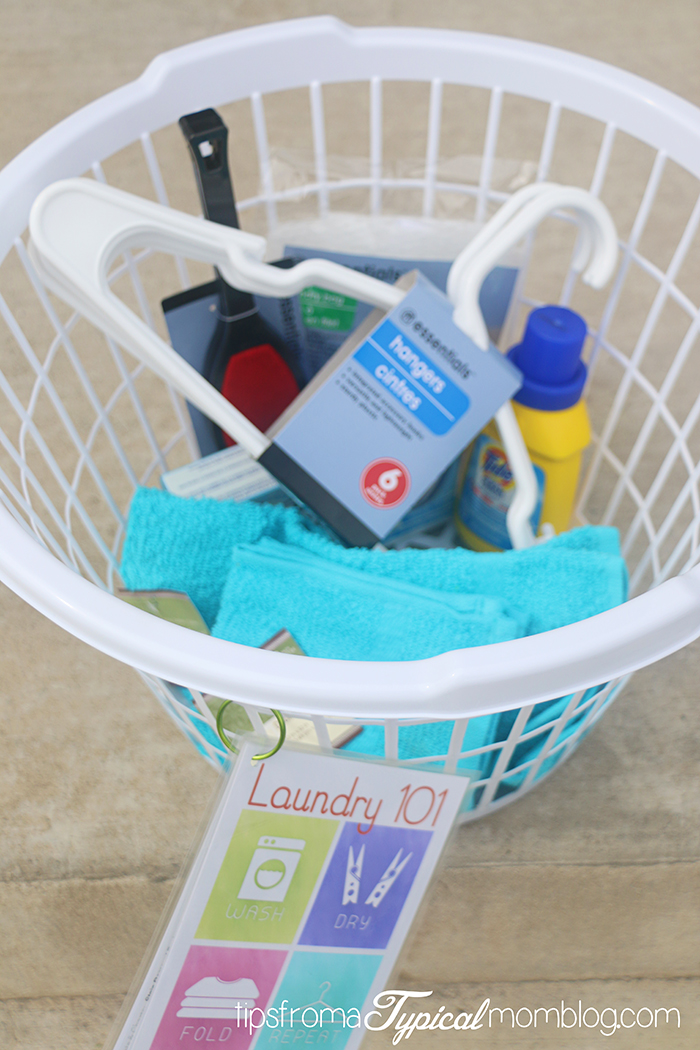 Laundry 101 Printable Gift for College Students