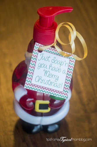 8 Quick and Easy Teacher Christmas Gift Ideas with Printable Tags ...