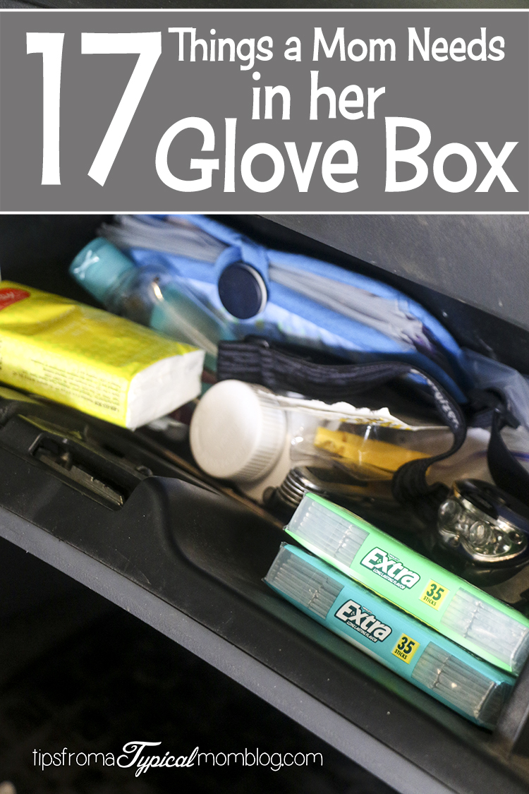 2x Co-pilot Glove Box Bag Storage Grocery Hanger Hook Fit Tesla Model 3/Y  17-23 | eBay