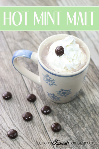 Hot Chocolate Mint Malt with TruMoo - Tips from a Typical Mom