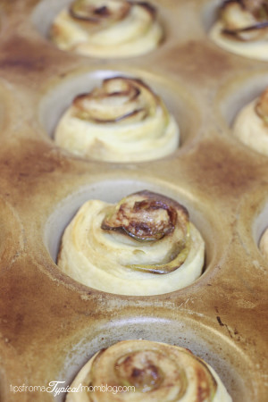 Apple Cinnamon Rolls - Tips from a Typical Mom